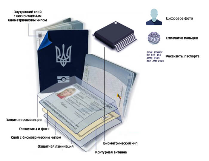 СДЕЛАТЬ БИОМЕТРИЮ КИЕВ